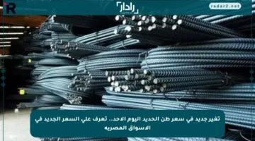 تغير جديد في سعر طن الحديد اليوم الأحد.. تعرف على السعر الجديد في الأسواق المصرية